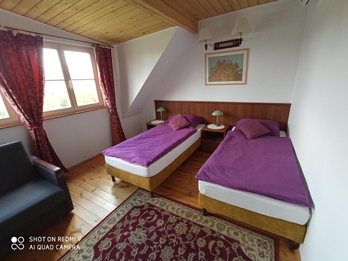 Bed and Breakfast Dwór Strzyżew Zelazowa Wola Exterior foto